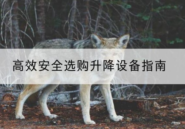 夷陵升降货梯厂家推荐-*安全选购升降设备指南