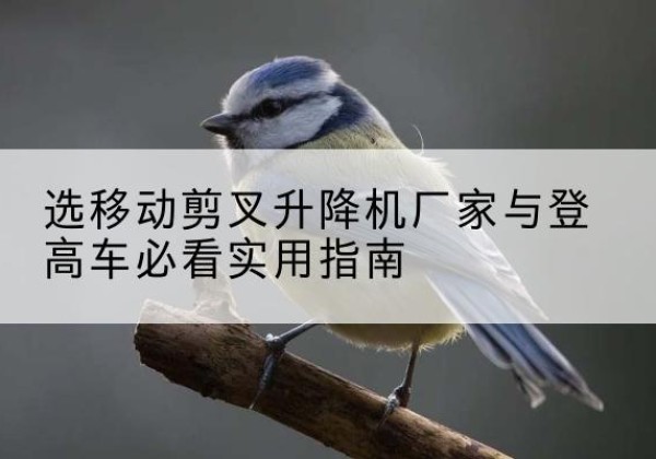 夷陵电动升降机厂家-选移动剪叉升降机厂家与登高车必看实用指南