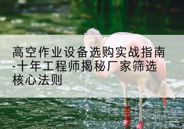 夷陵剪叉式升降机厂家-高空作业设备选购实战指南-十年工程师揭秘厂家筛选核心法则